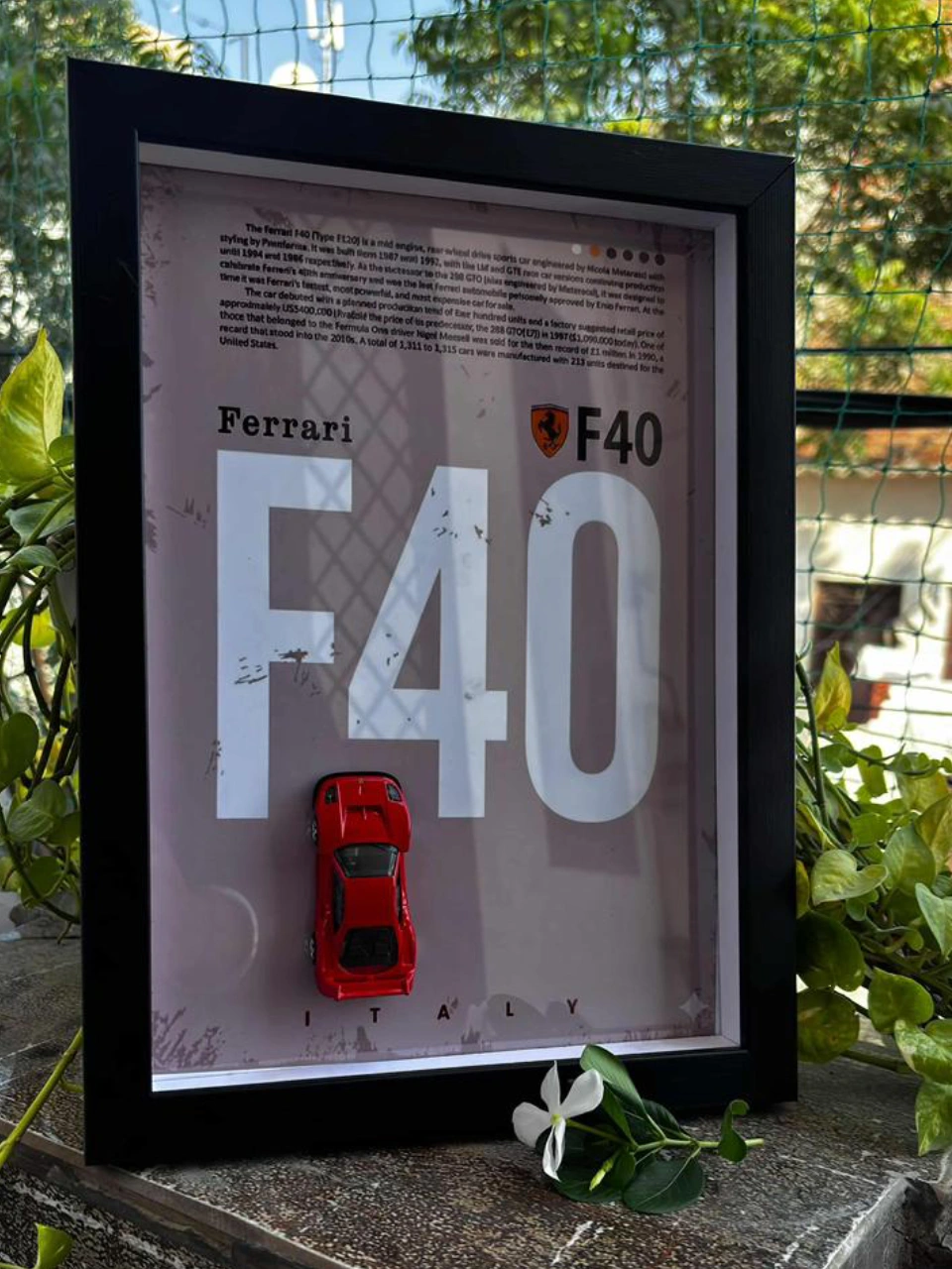 WhatsApp Image 2026-01-06 at 11.26.03 PM (1) (2)