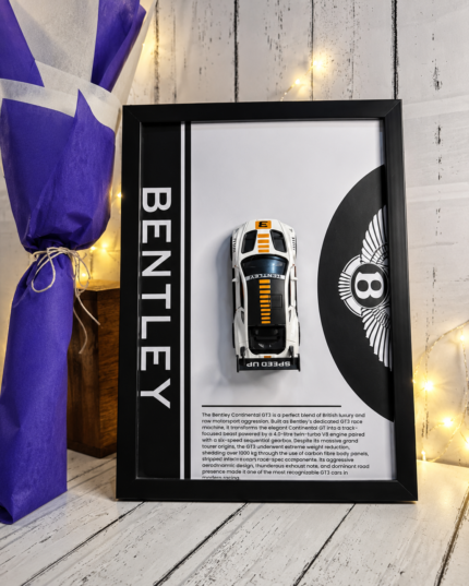 Bentley Continental GT3 3D Frame